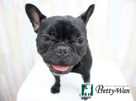 ヤスダマルキ160417