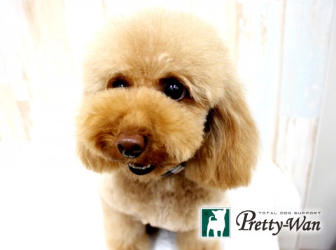 タルタニアンジュ160501